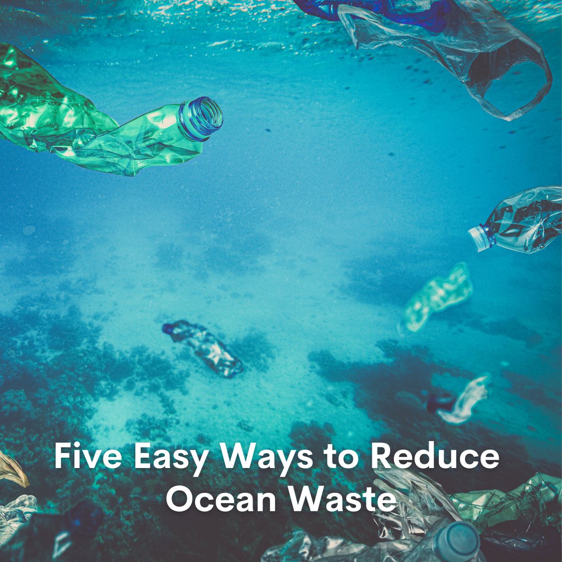 Five Easy Ways to Reduce Ocean Waste